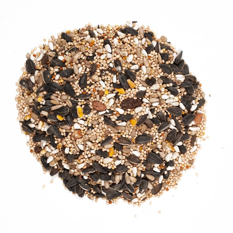 Wagner's 62059 Greatest Variety Blend Wild Bird Food, 16-Pound Bag - Image 3